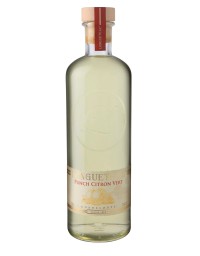 LONGUETEAU Lime Punch 25% 1 Liter