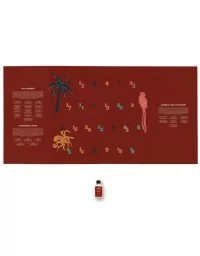 CALENDRIER DE L'AVENT Le Monde des Rhums Coffret 25 x 2cl 2025