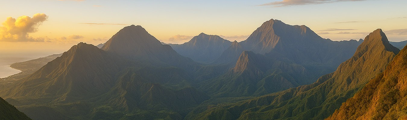 Rhum La Réunion: Agricultural and Traditional Rums from the Island
