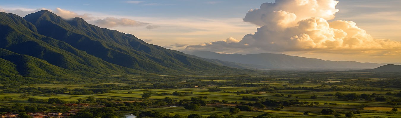 Rhum Venezuela : Douceur et Élégance des Cuvées Vieillies