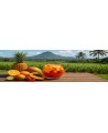 Punch Rhum
