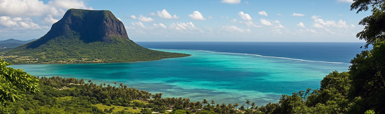 Rhum Île Maurice : Rhums Agricoles et Traditionnels d’Exception