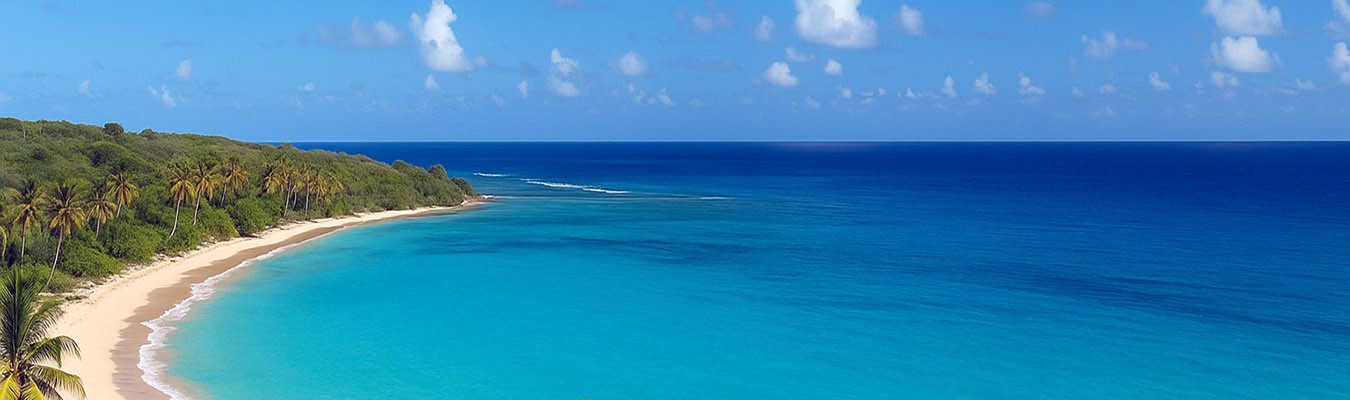 Rhum Marie-Galante : Rhums Agricoles Blancs, Ambrés et Vieux