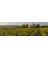Armagnac